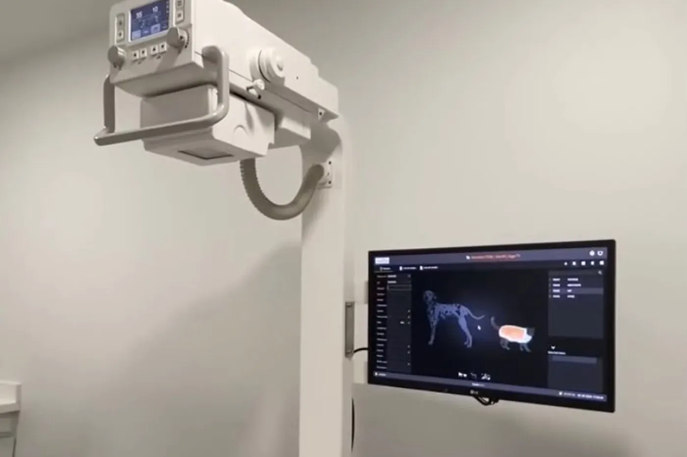 Radiografías veterinarias — Clínica SocialVet